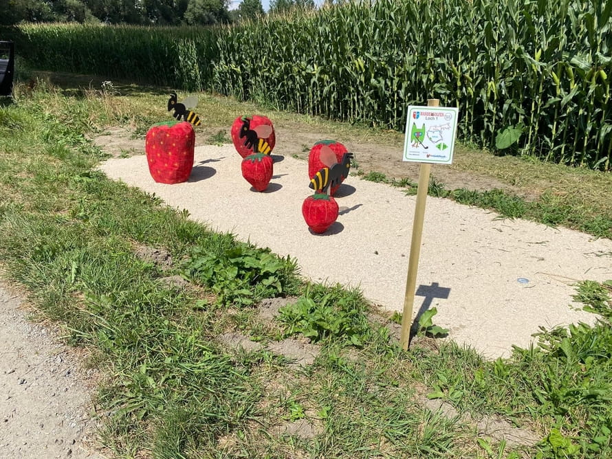 Station Nr. 1, Erdbeeren