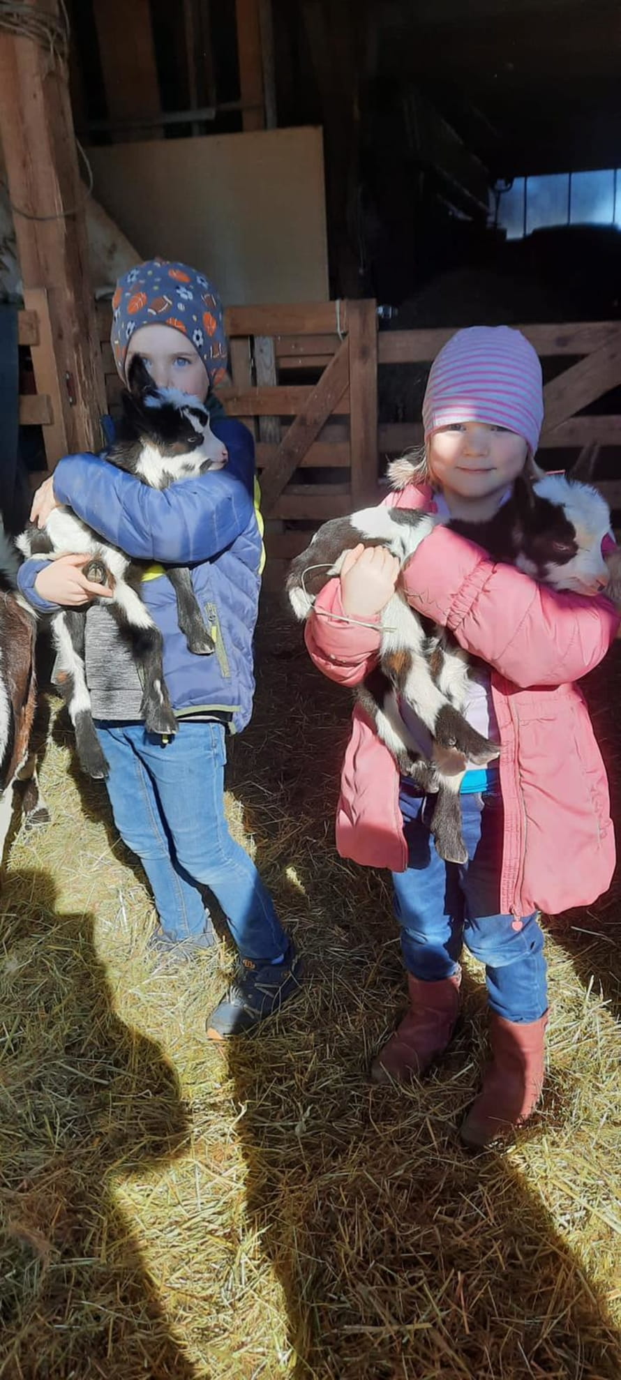 Tierische Begegnungen beim Ausflug auf den Bauernhof