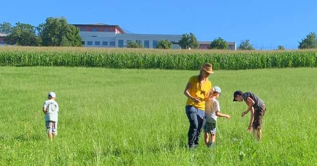 Ferienwoche, Natur