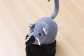 Babyspielgruppe "Mona Maus"