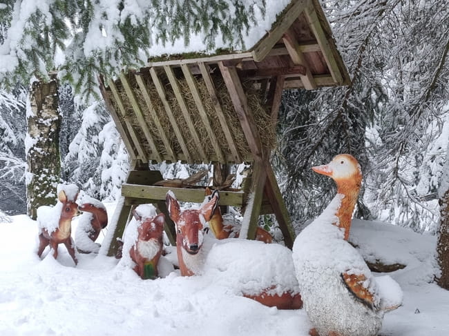 Foto zum Highlight Jagdmärchenpark Hirschalm